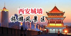 黑棒操嫩逼中国陕西-西安城墙旅游风景区