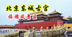 jb好棒骚逼好舒服视频中国北京-东城古宫旅游风景区